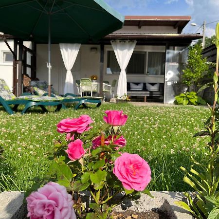 Charmante Petite Maison Transylvanie Villa Săcele Dış mekan fotoğraf