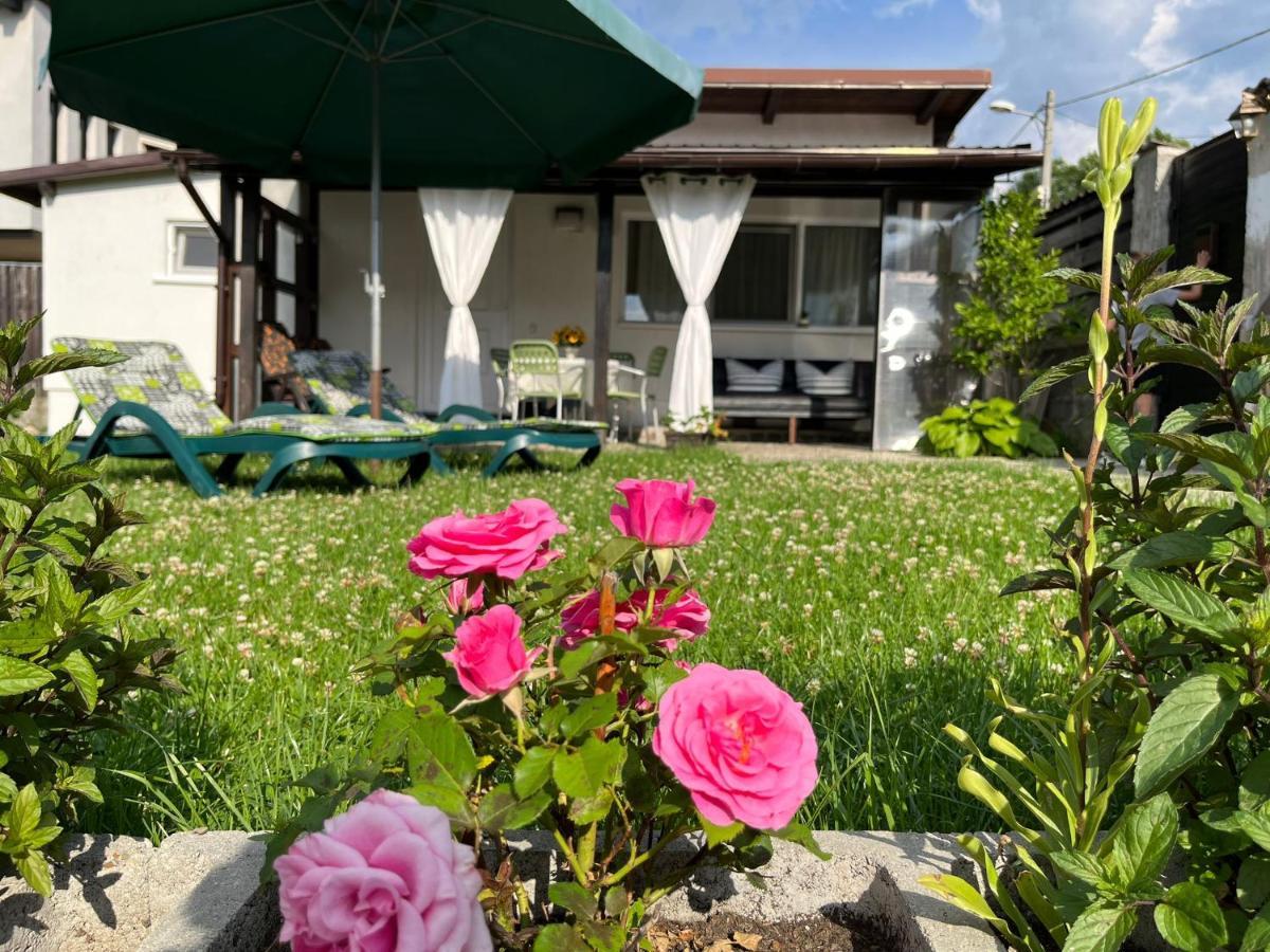 Charmante Petite Maison Transylvanie Villa Săcele Dış mekan fotoğraf